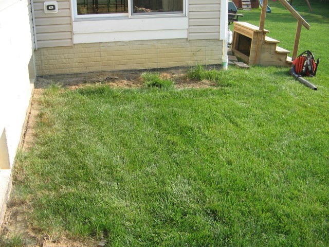 Lawn/Bed Maintenance, Plant Installation